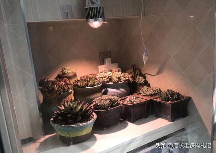 护眼灯的瓦数标准-台灯瓦数怎么选择？
